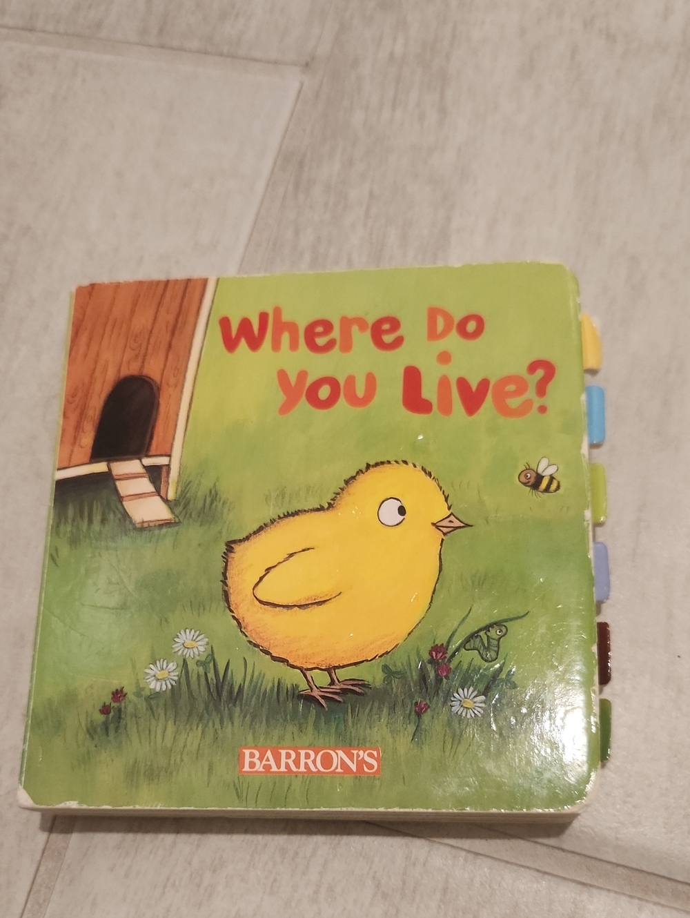 🌴Barron's "Where Do You Live?" Children's Board Book - Yellow Chick